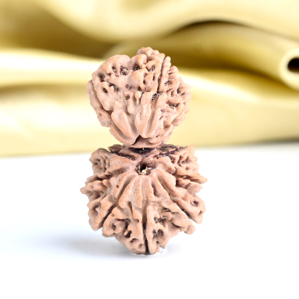 Garbh Gauri 10 mukhi from Nepal Large - I