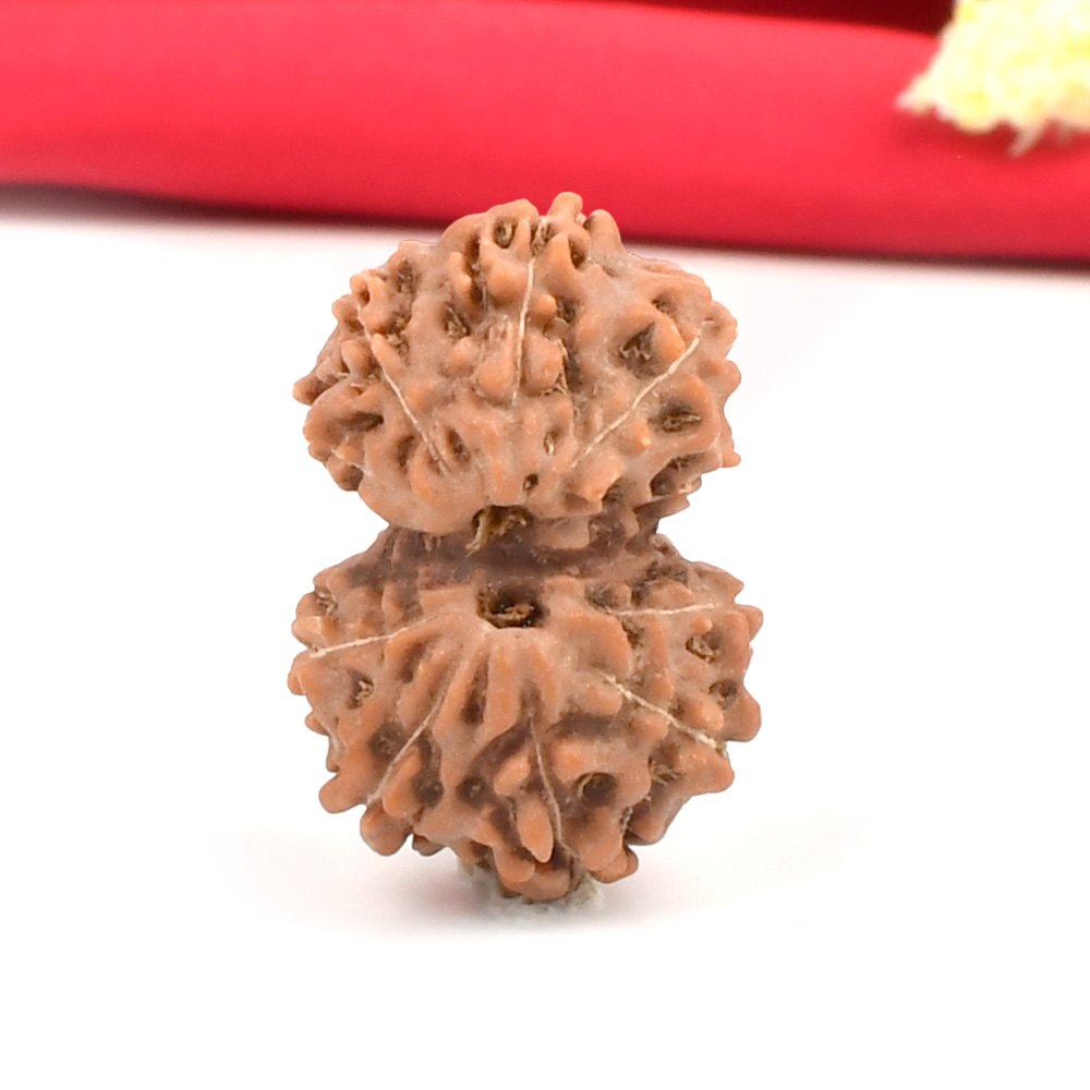 Gauri Shankar from Java Indonesia - IV