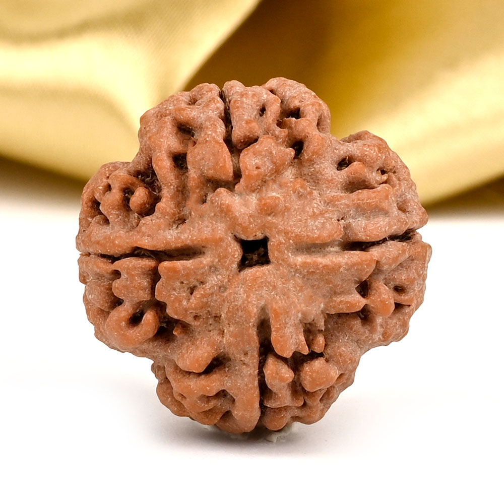 Collector 4 Mukhi from Nepal - D