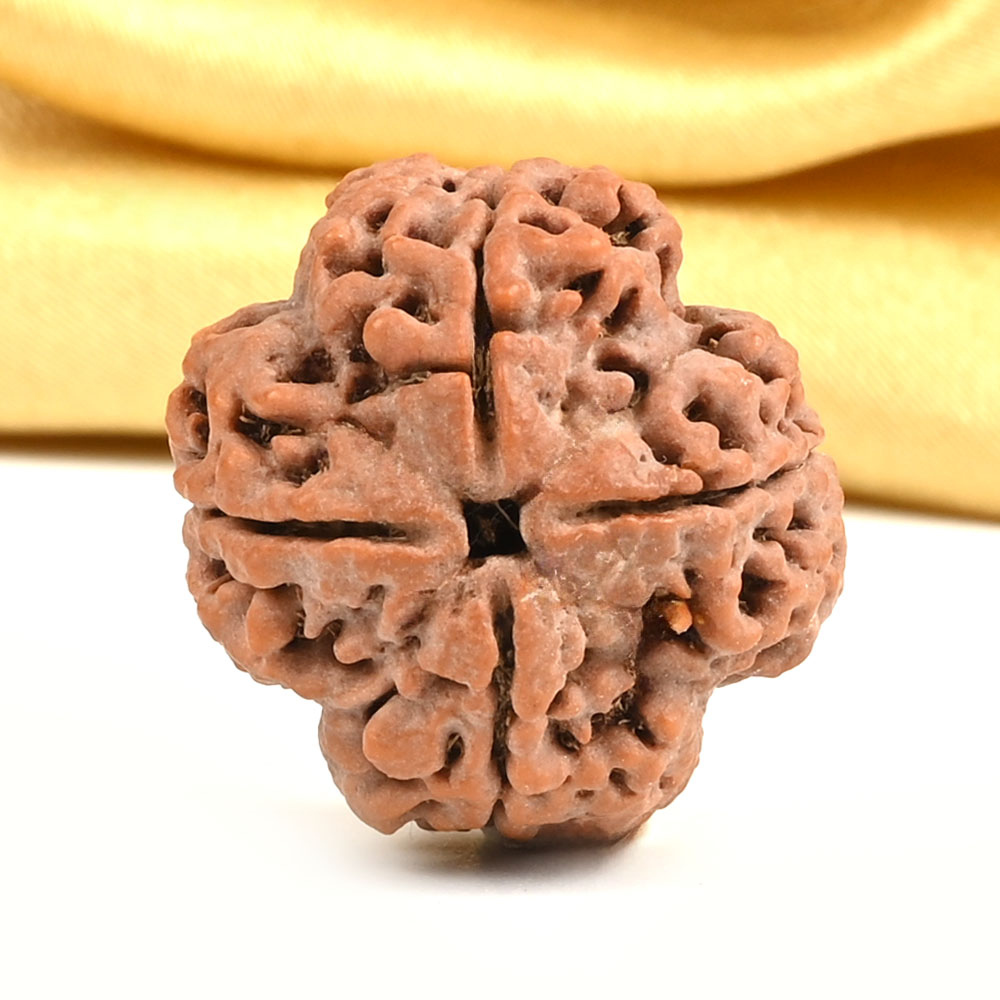 Collector 4 Mukhi from Nepal - DXI