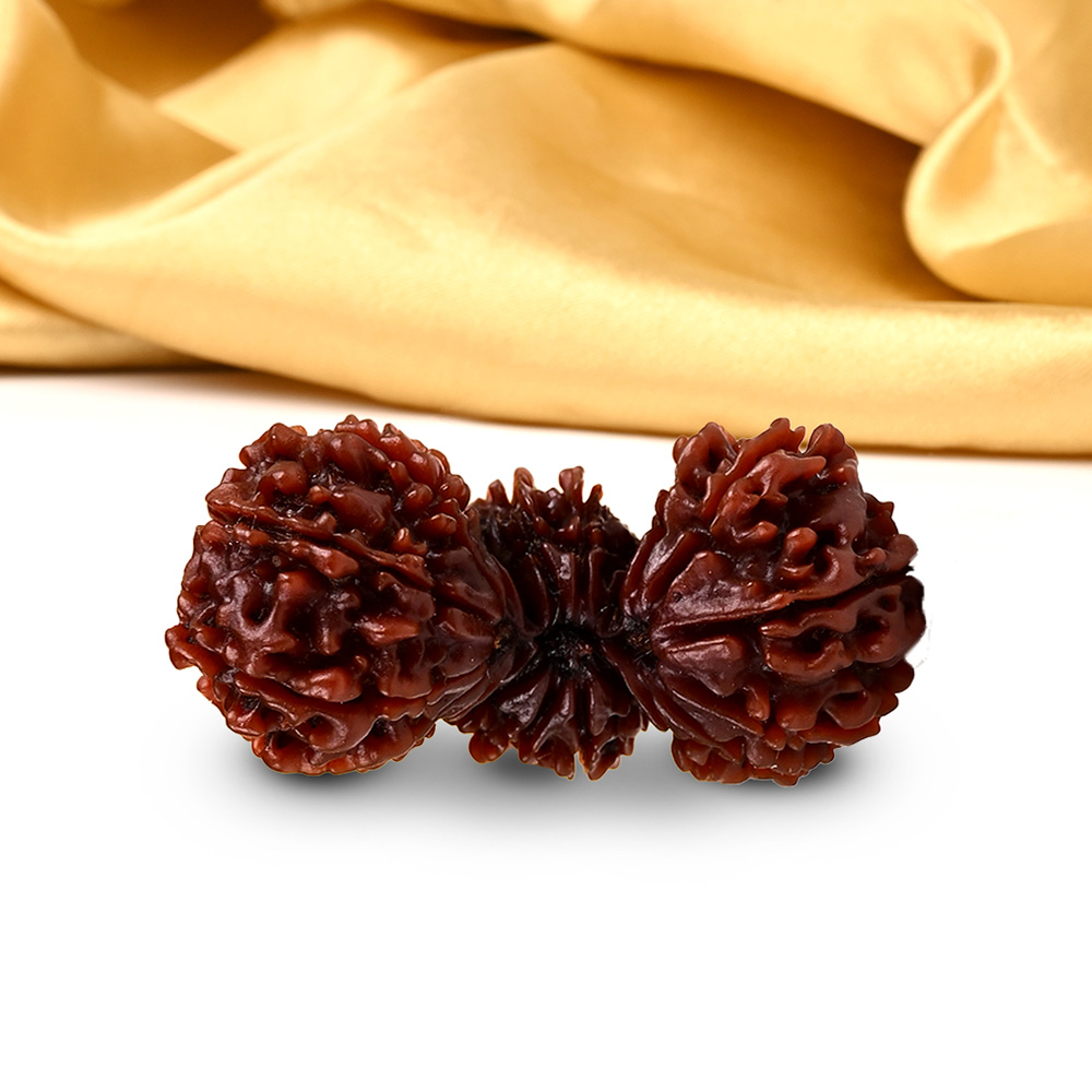 Trijuti Nepal Large - V