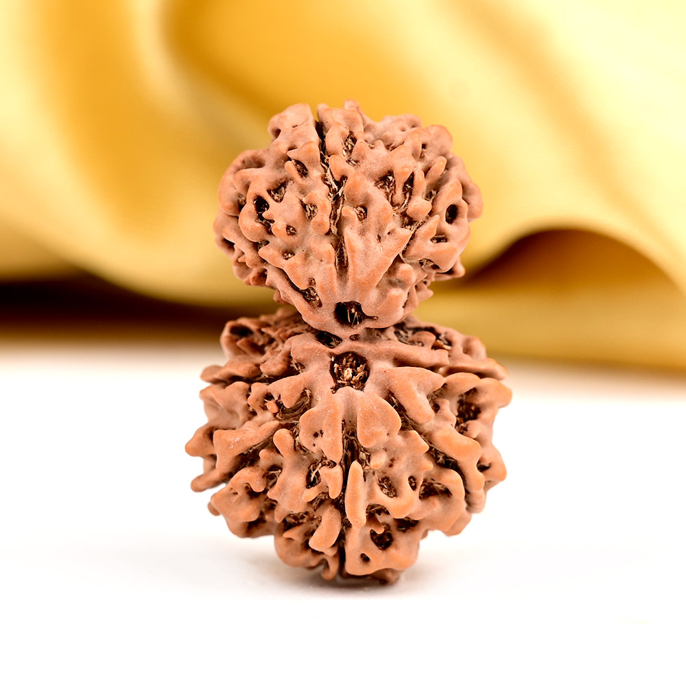 Gauri Shankar 9 Mukhi from Nepal Small - VI