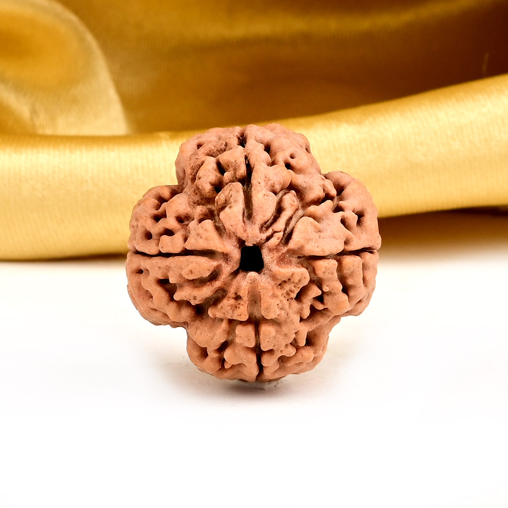 Collector 4 Mukhi from Nepal - DXXX