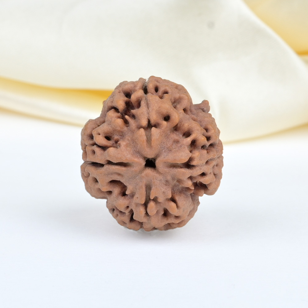 Collector 4 Mukhi from Nepal - DXXXIX