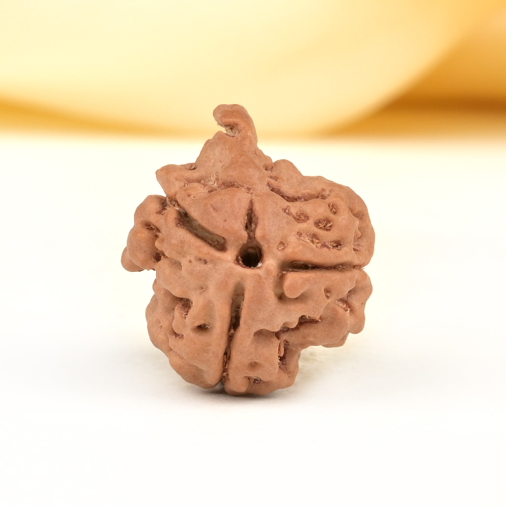 Ganesh Rudraksha 3 Mukhi from Nepal - I