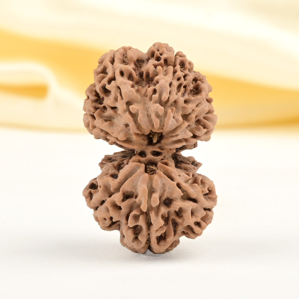 Gauri Shankar 8 Mukhi from Nepal - VI