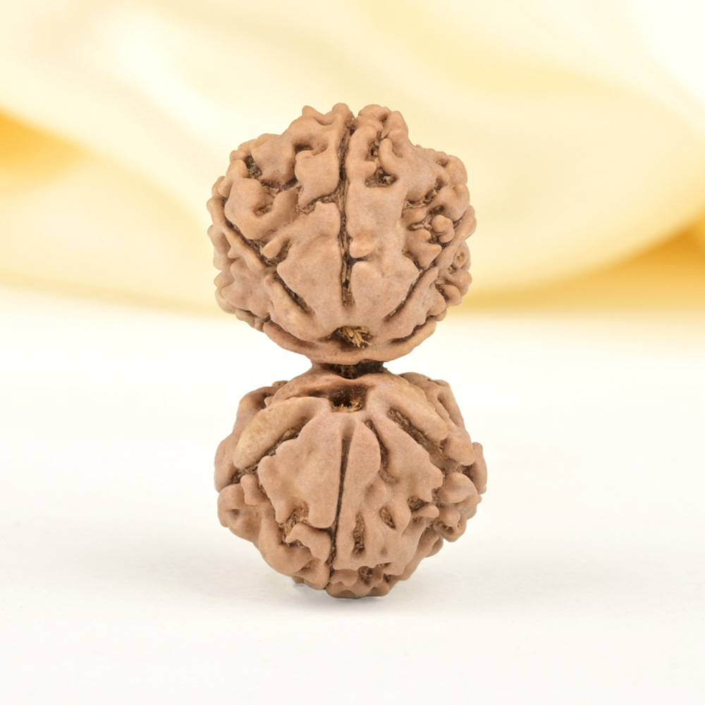 Gauri Shankar 9 Mukhi from Nepal - XLVI