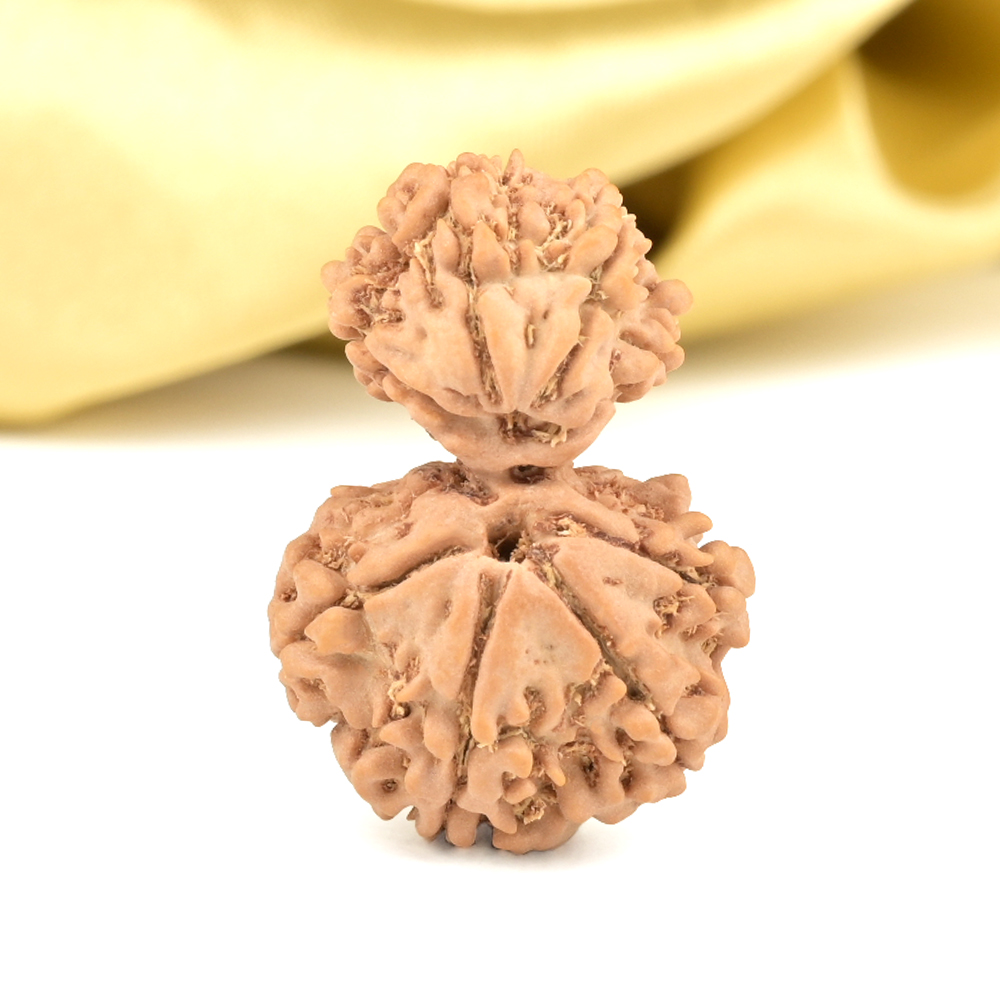 Garbh Gauri 9 Mukhi from Nepal Small - II