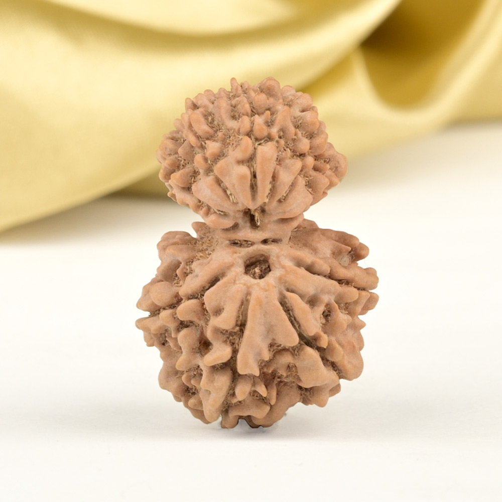 Garbh Gauri 9 Mukhi from Nepal - I