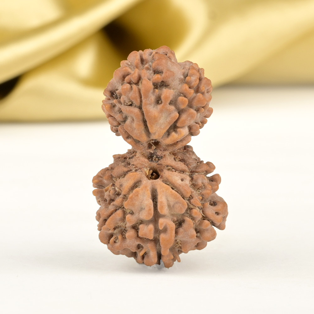 Garbh Gauri 9 Mukhi from Nepal - II