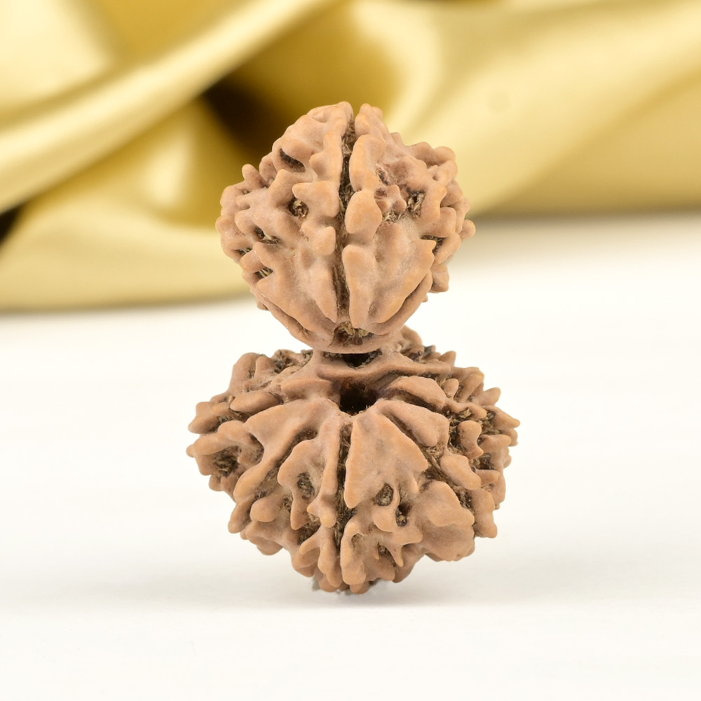 Garbh Gauri 9 Mukhi from Nepal - III