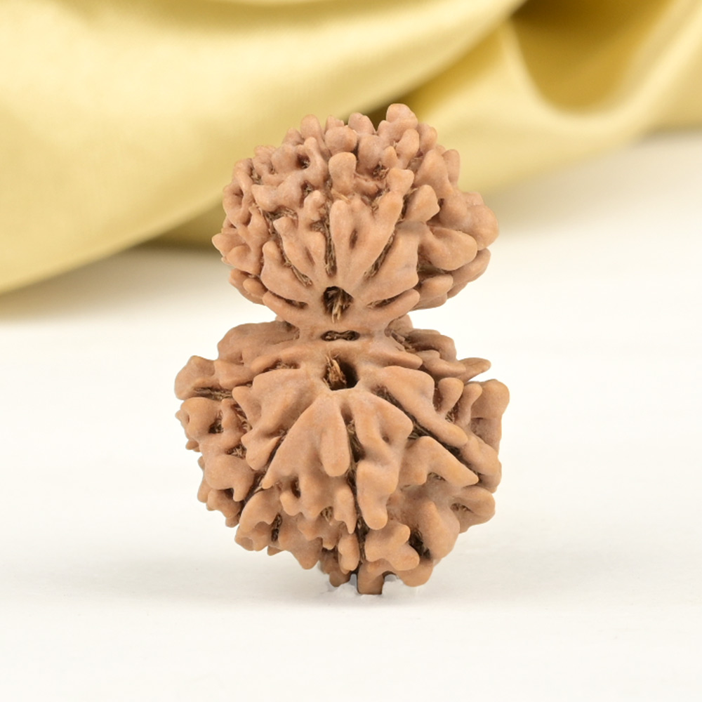 Garbh Gauri 10 Mukhi from Nepal Small - I