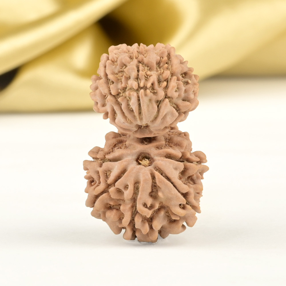 Garbh Gauri 10 Mukhi from Nepal - II