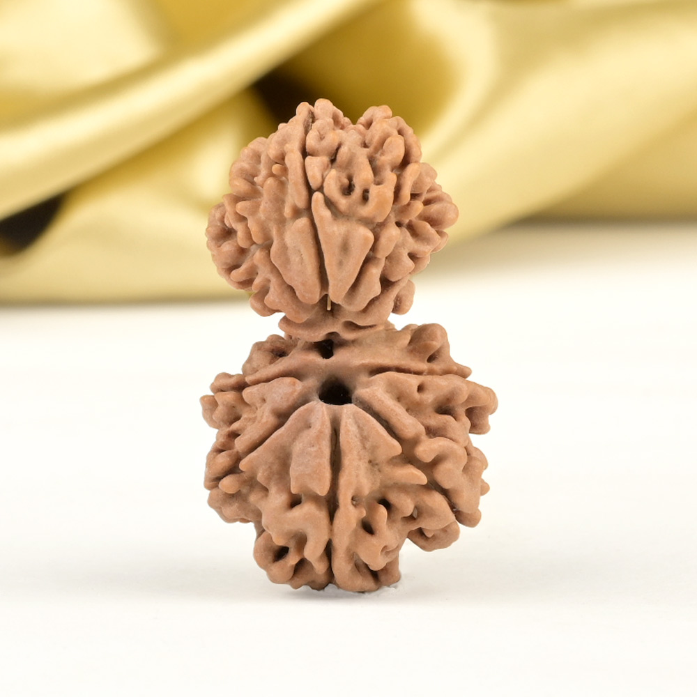 Garbh Gauri 10 Mukhi from Nepal - III