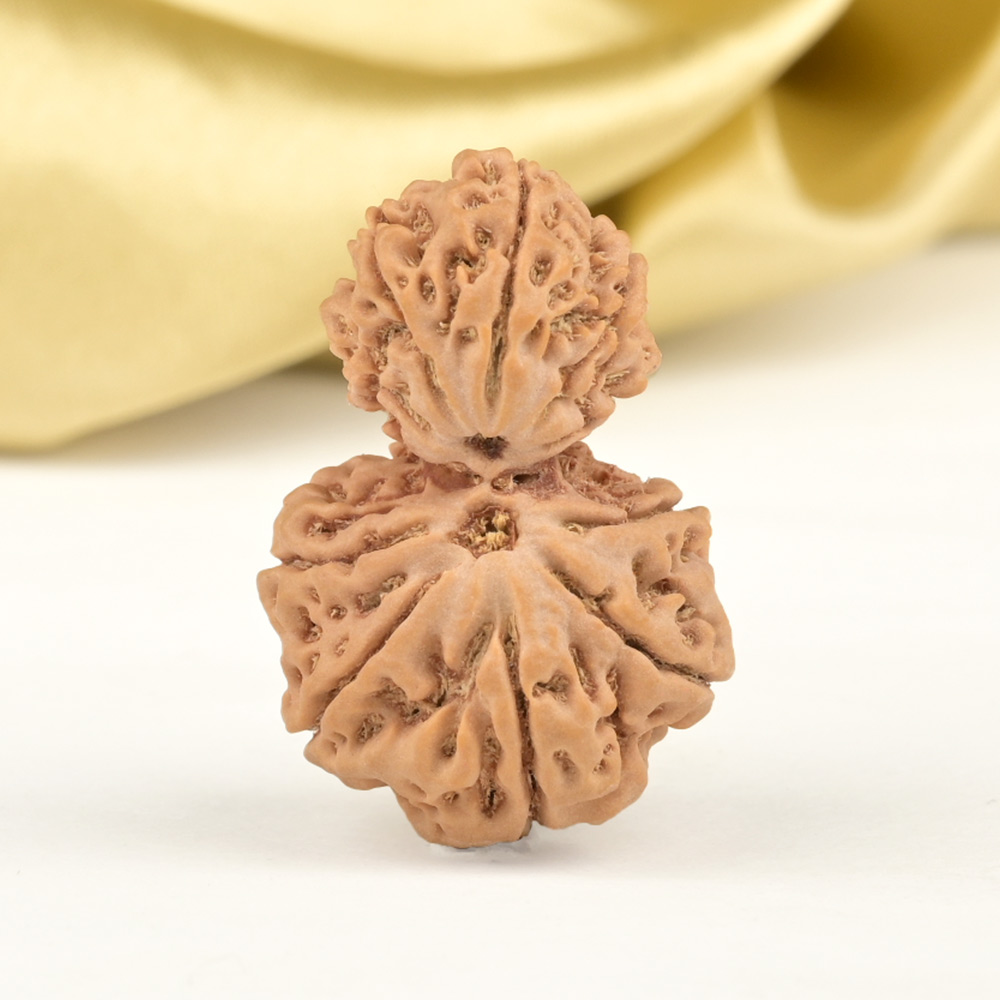 Garbh Gauri 10 Mukhi from Nepal - IV