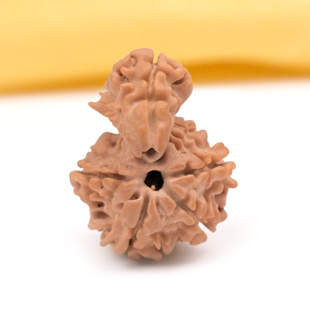 Savar Naag 6 mukhi from Nepal - I