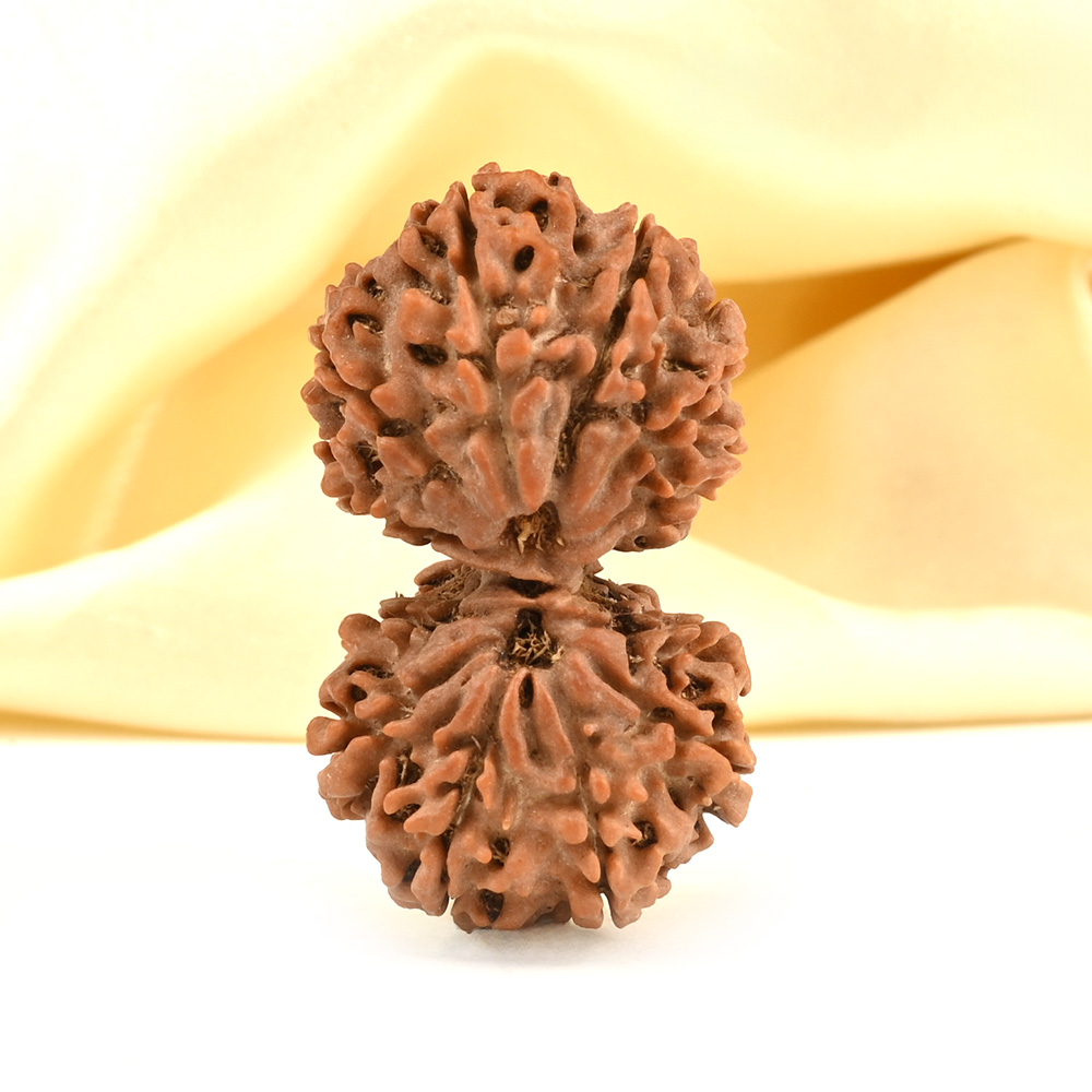 Gauri Shankar 12 Mukhi from Nepal - XXXII