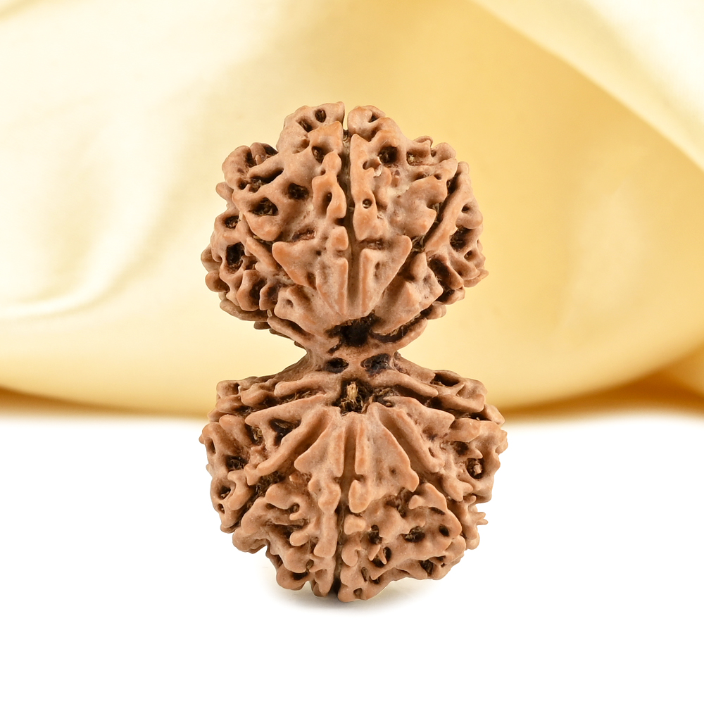 Gauri Shankar 10 Mukhi from Nepal - LVII