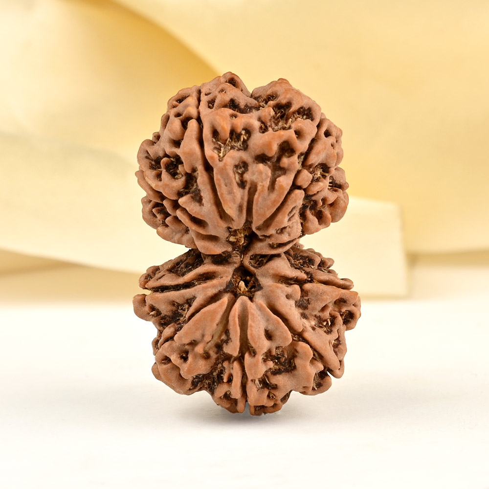 Gauri Shankar 10 Mukhi from Nepal - LIX