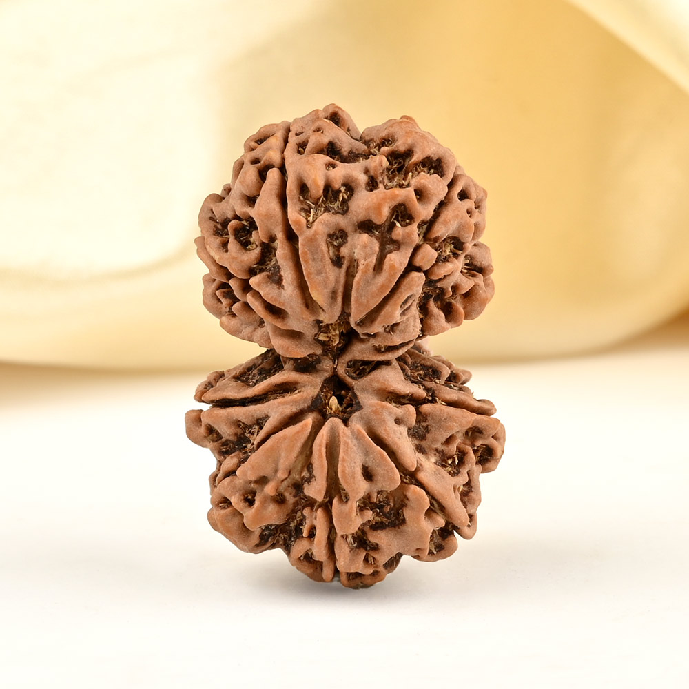 Gauri Shankar 10 Mukhi from Nepal - LXI