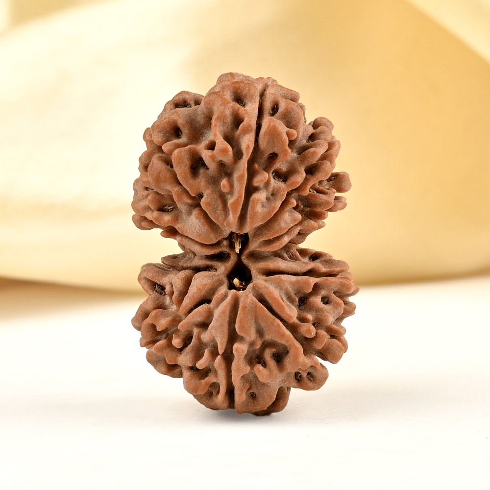 Gauri Shankar 10 Mukhi from Nepal - LXIII