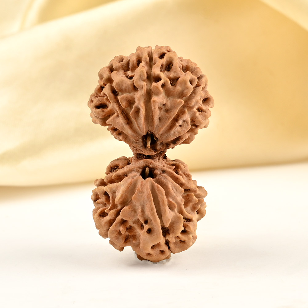 Collector Gauri Shankar 9 Mukhi from Nepal - I