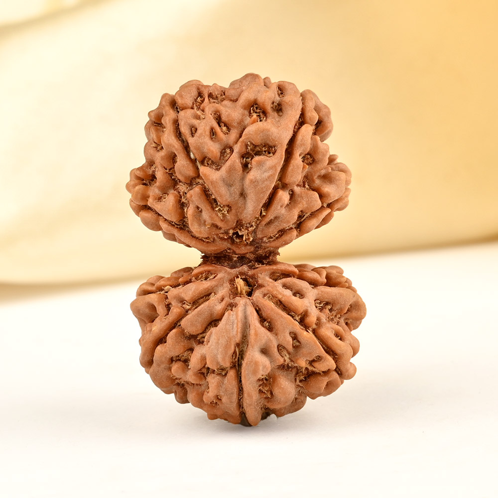 Gauri Shankar 9 Mukhi from Nepal Large - XXII