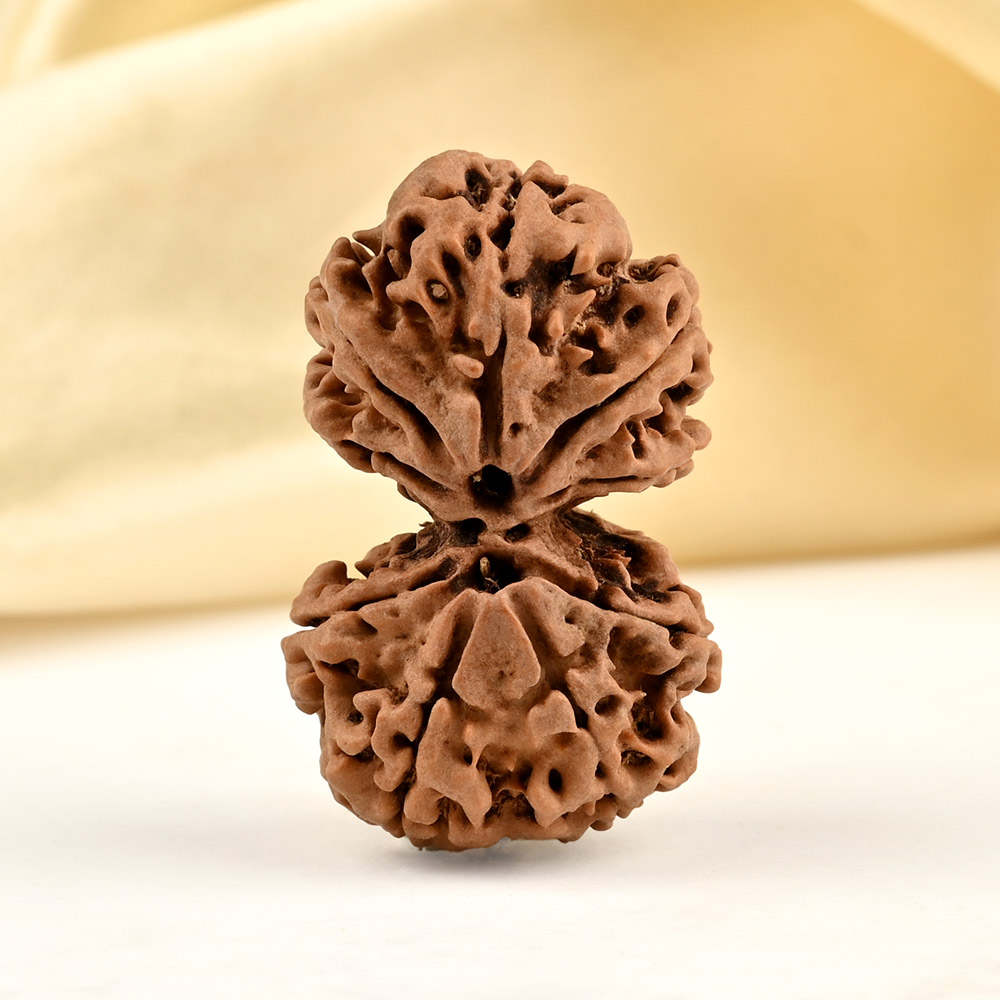 Gauri Shankar 9 Mukhi from Nepal Large - XXIII