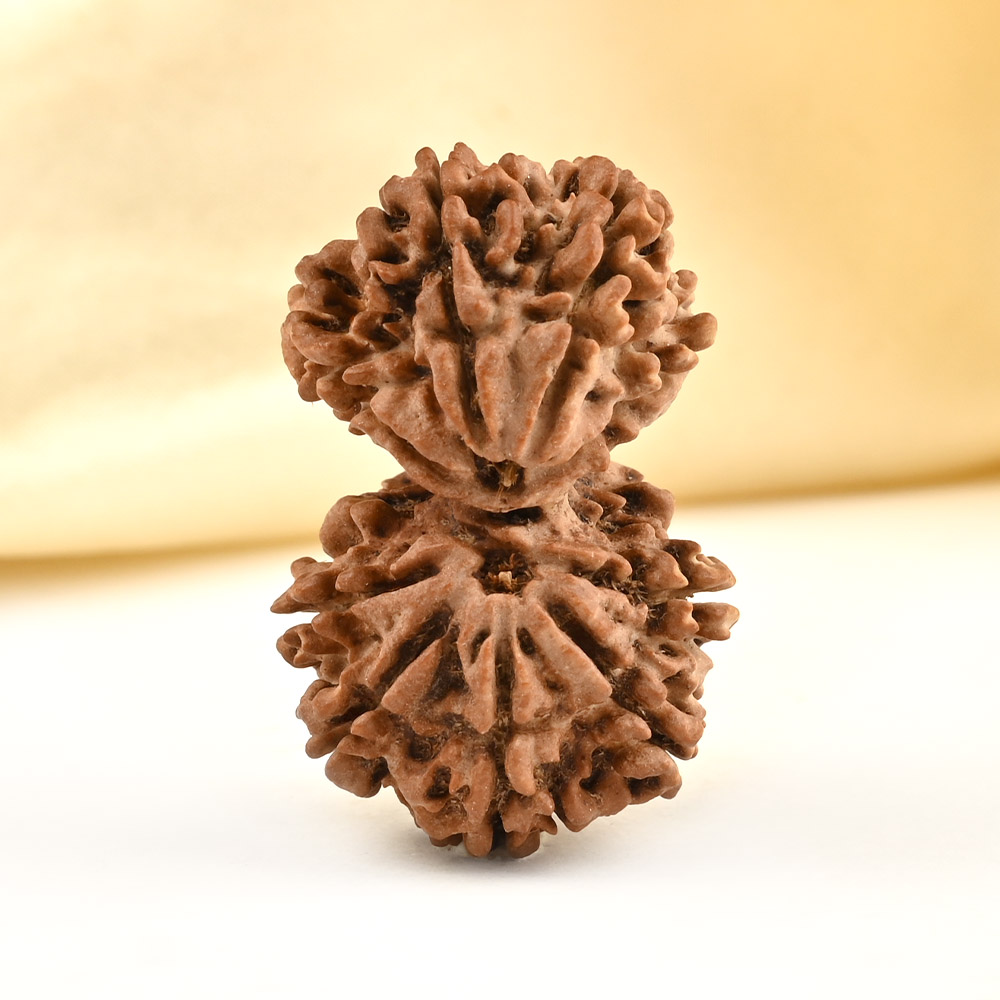 Gauri Shankar 9 Mukhi from Nepal - LI