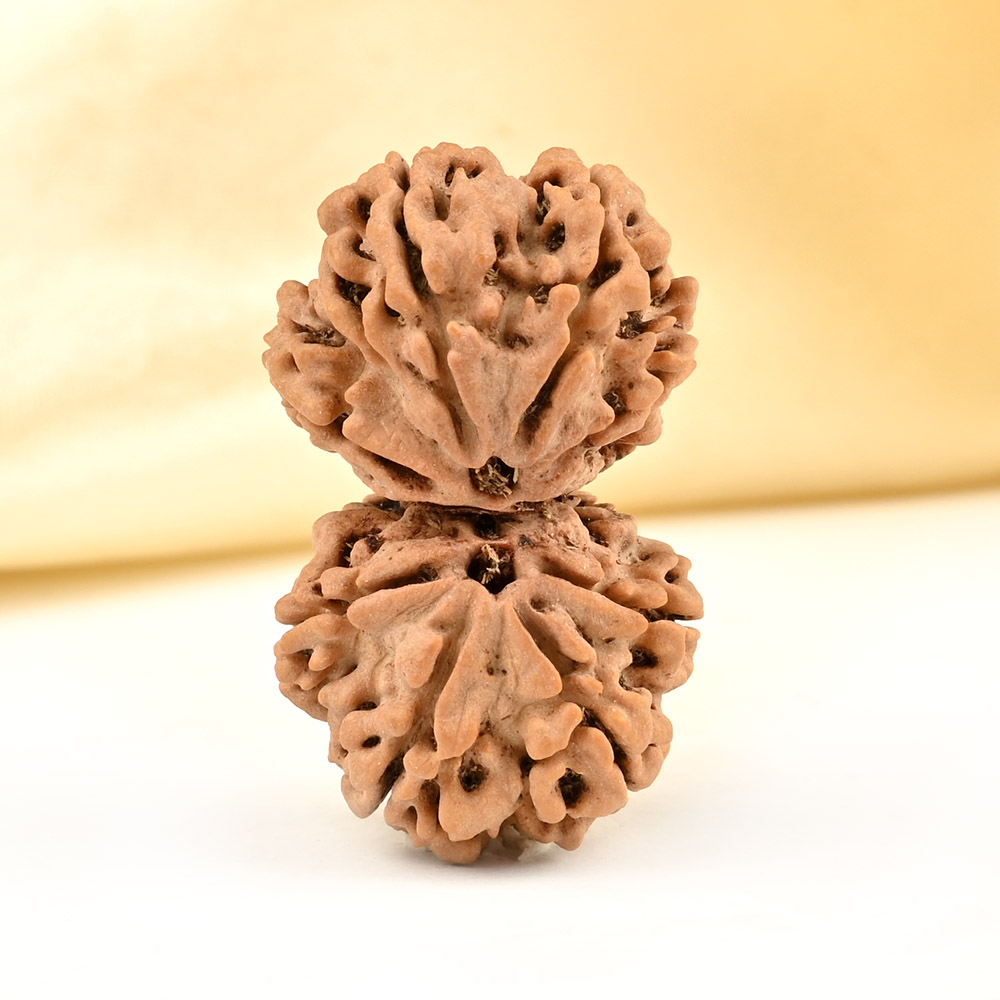 Gauri Shankar 9 Mukhi from Nepal - LII
