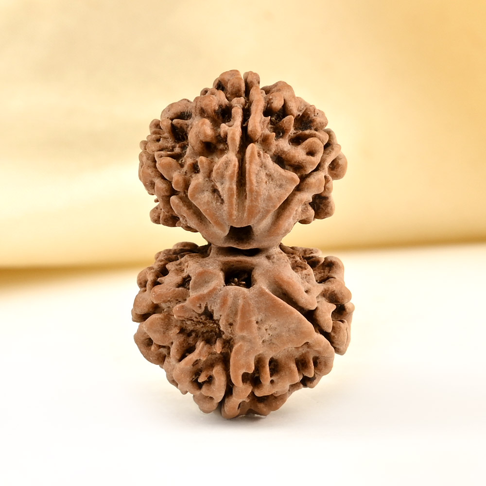 Gauri Shankar 6 Mukhi from Nepal Small - VI