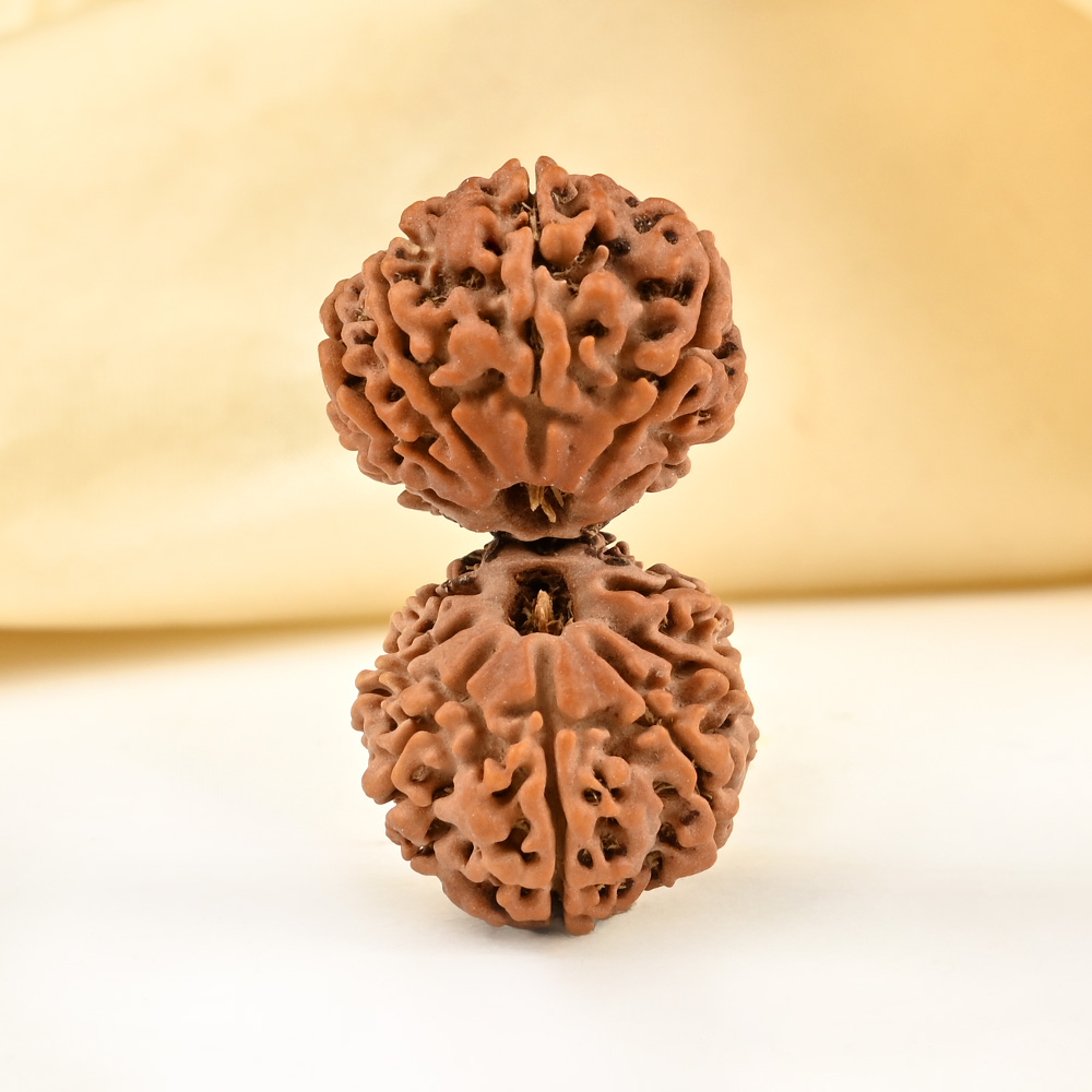 Gauri Shankar 16 Mukhi From Nepal - I
