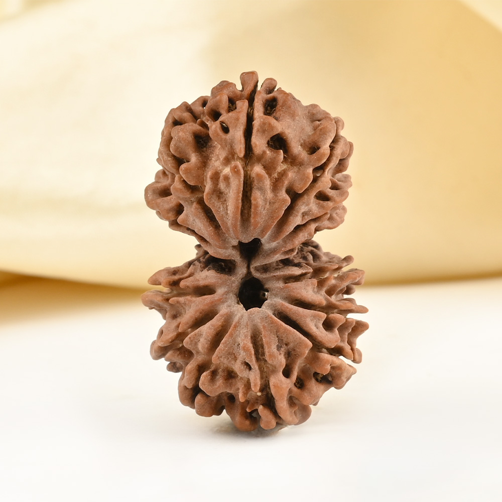 Gauri Shankar 14 Mukhi from Nepal - IX