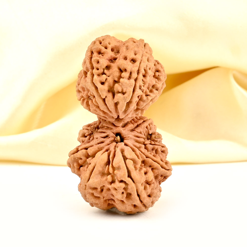 Collector Gauri Shankar 13 Mukhi from Nepal - III