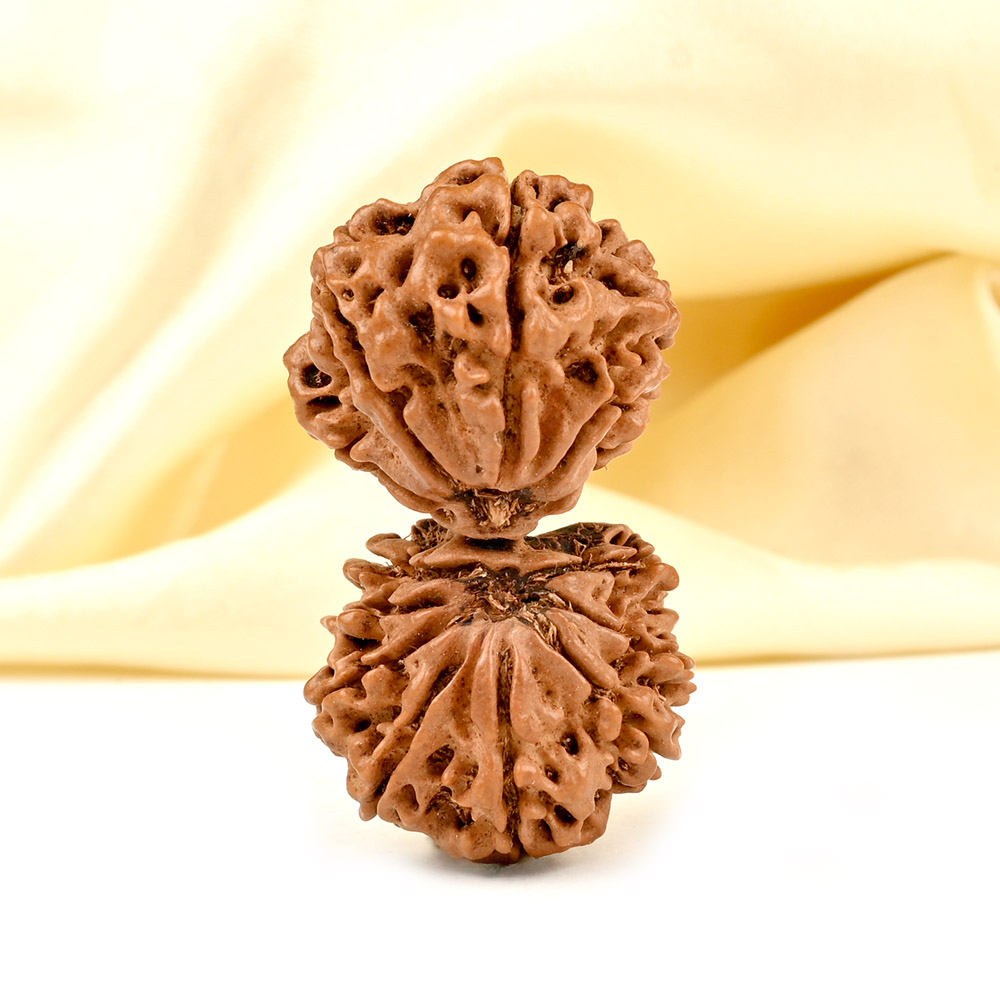 Collector Gauri Shankar 13 Mukhi from Nepal - IV