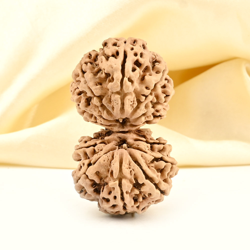 Collector Gauri Shankar 13 Mukhi from Nepal - V