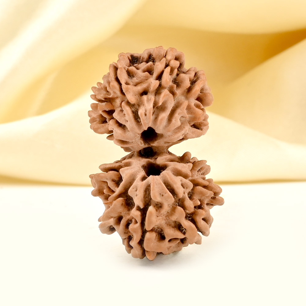 Gauri Shankar 13 Mukhi From Nepal Small - IV