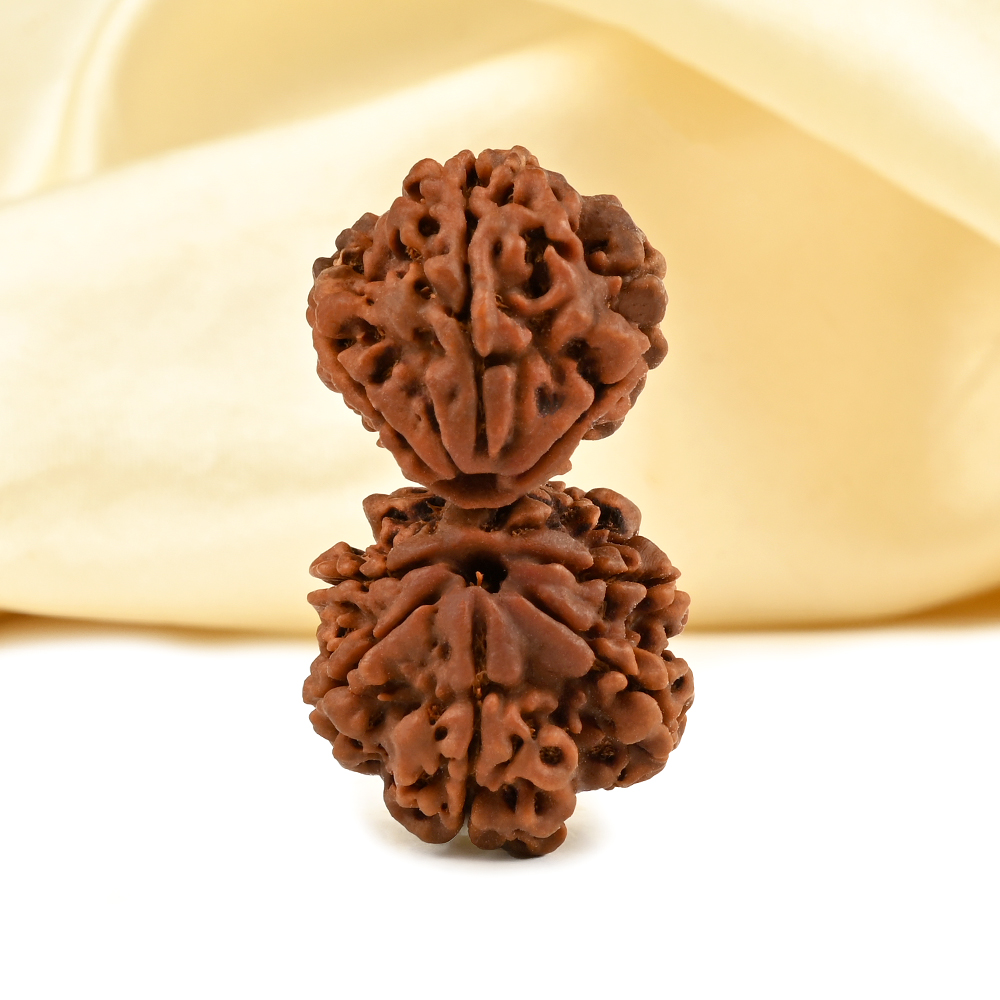 Collector Gauri Shankar 8 Mukhi from Nepal - XI