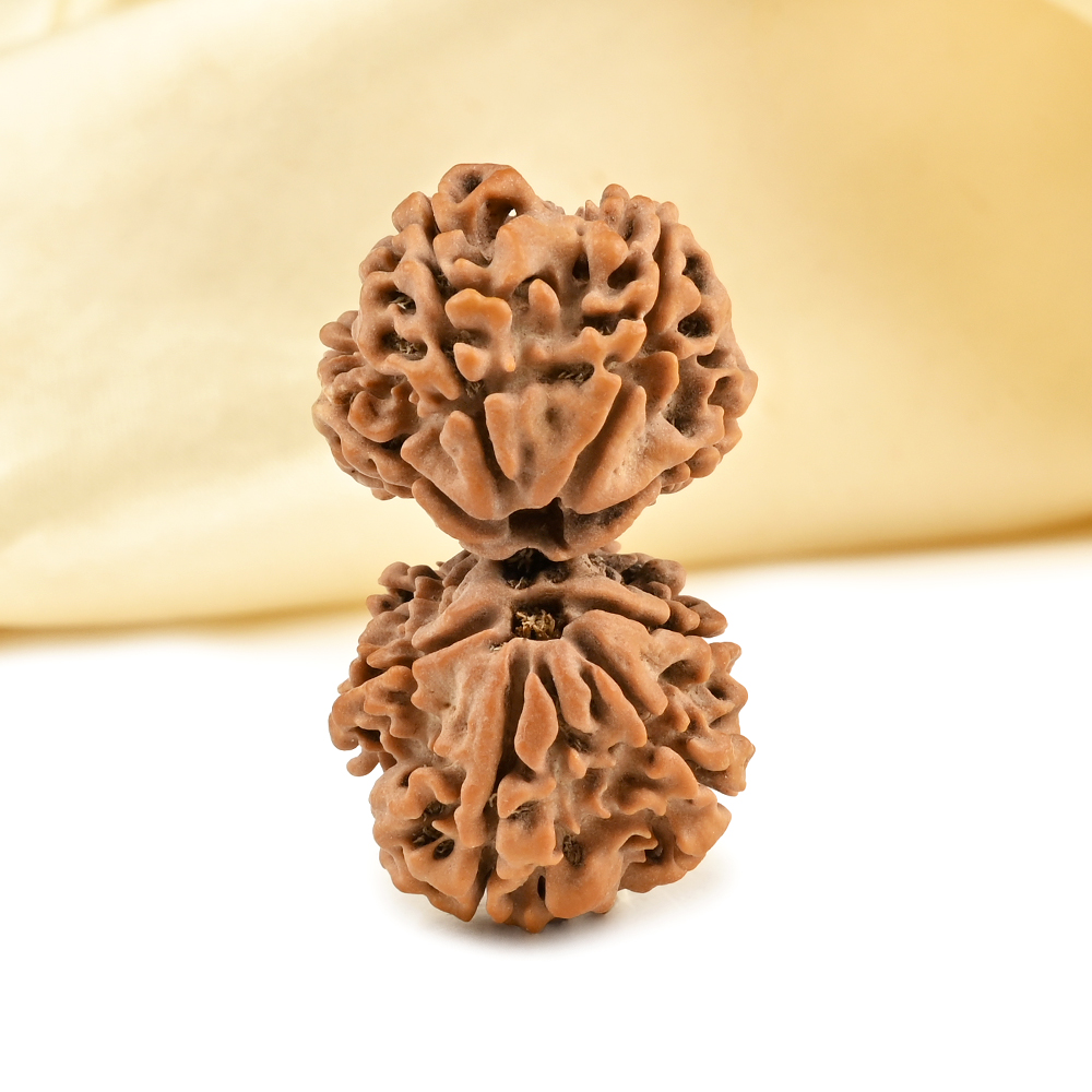 Gauri Shankar 8 Mukhi Large from Nepal - VI