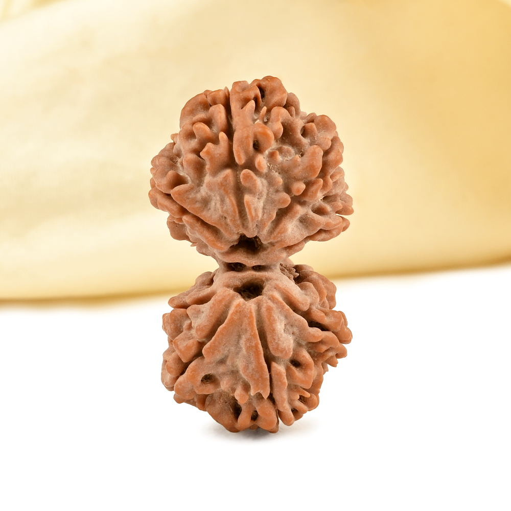 Gauri Shankar 8 Mukhi from Nepal - VIII