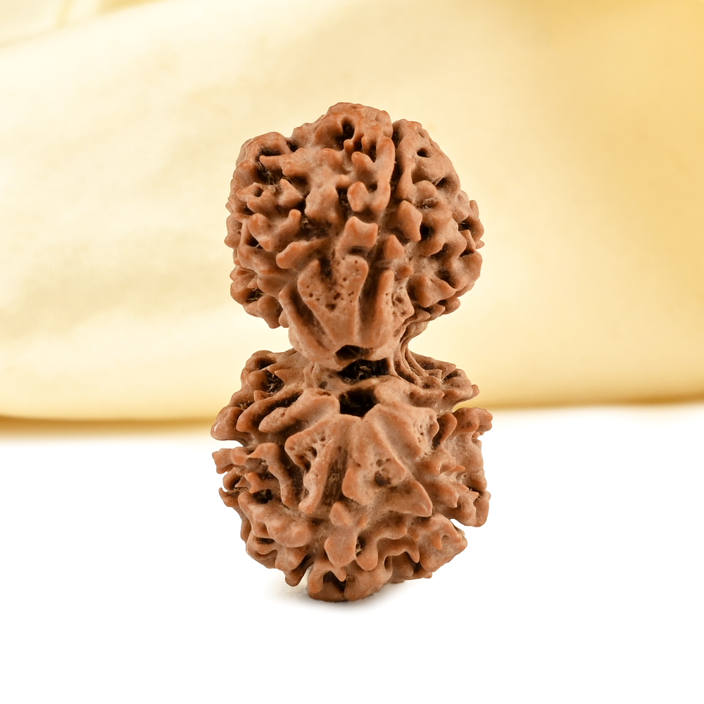 Gauri Shankar 8 Mukhi from Nepal - IX