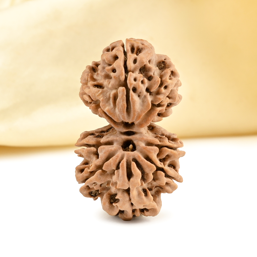 Gauri Shankar 8 Mukhi from Nepal - XI
