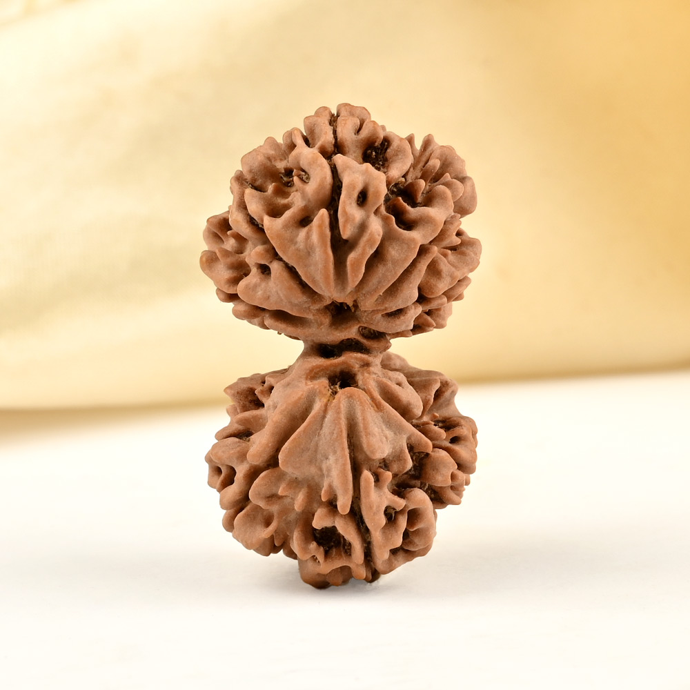 Gauri Shankar 8 Mukhi from Nepal - XII