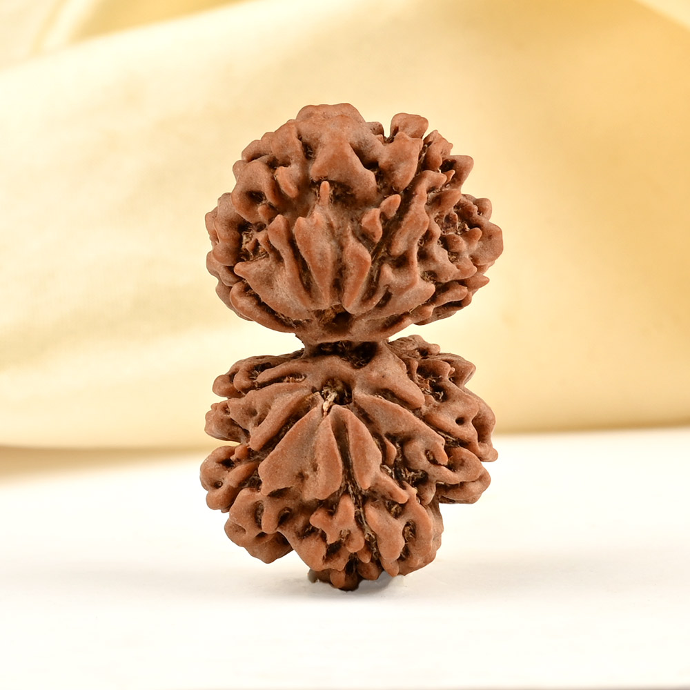 Gauri Shankar 8 Mukhi from Nepal - XIII