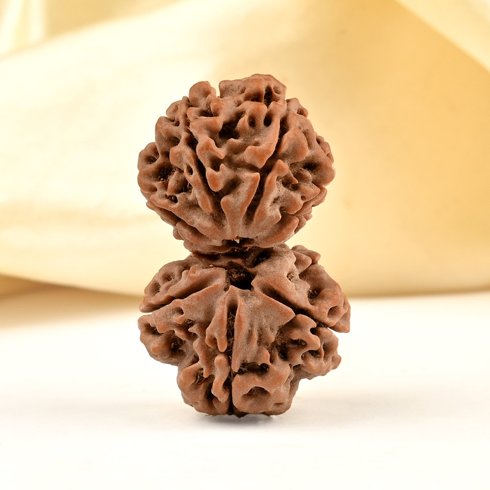 Gauri Shankar 7 Mukhi from Nepal - XXXVIII