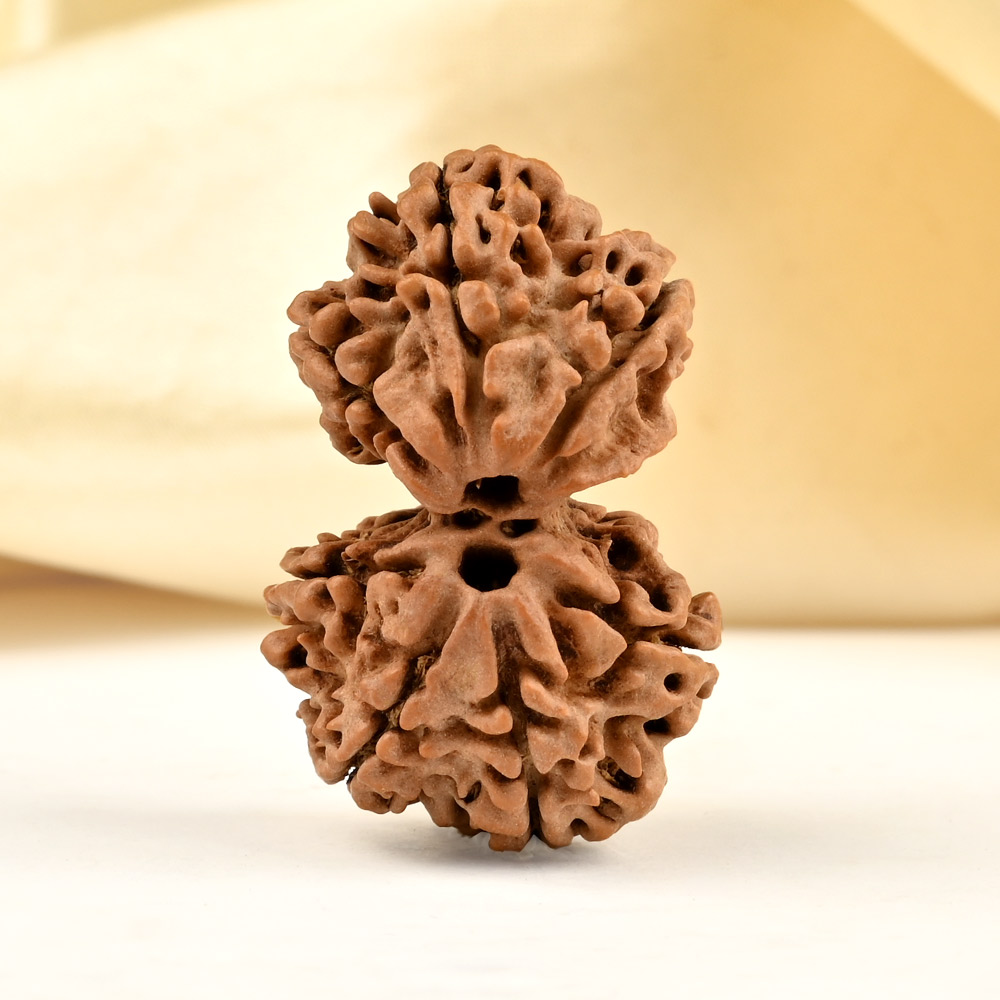 Gauri Shankar 7 Mukhi from Nepal - IV