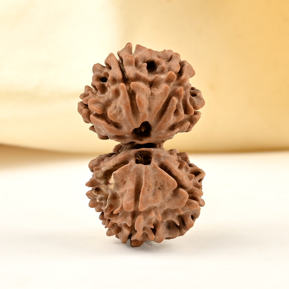 Gauri Shankar 7 Mukhi from Nepal Small - VII