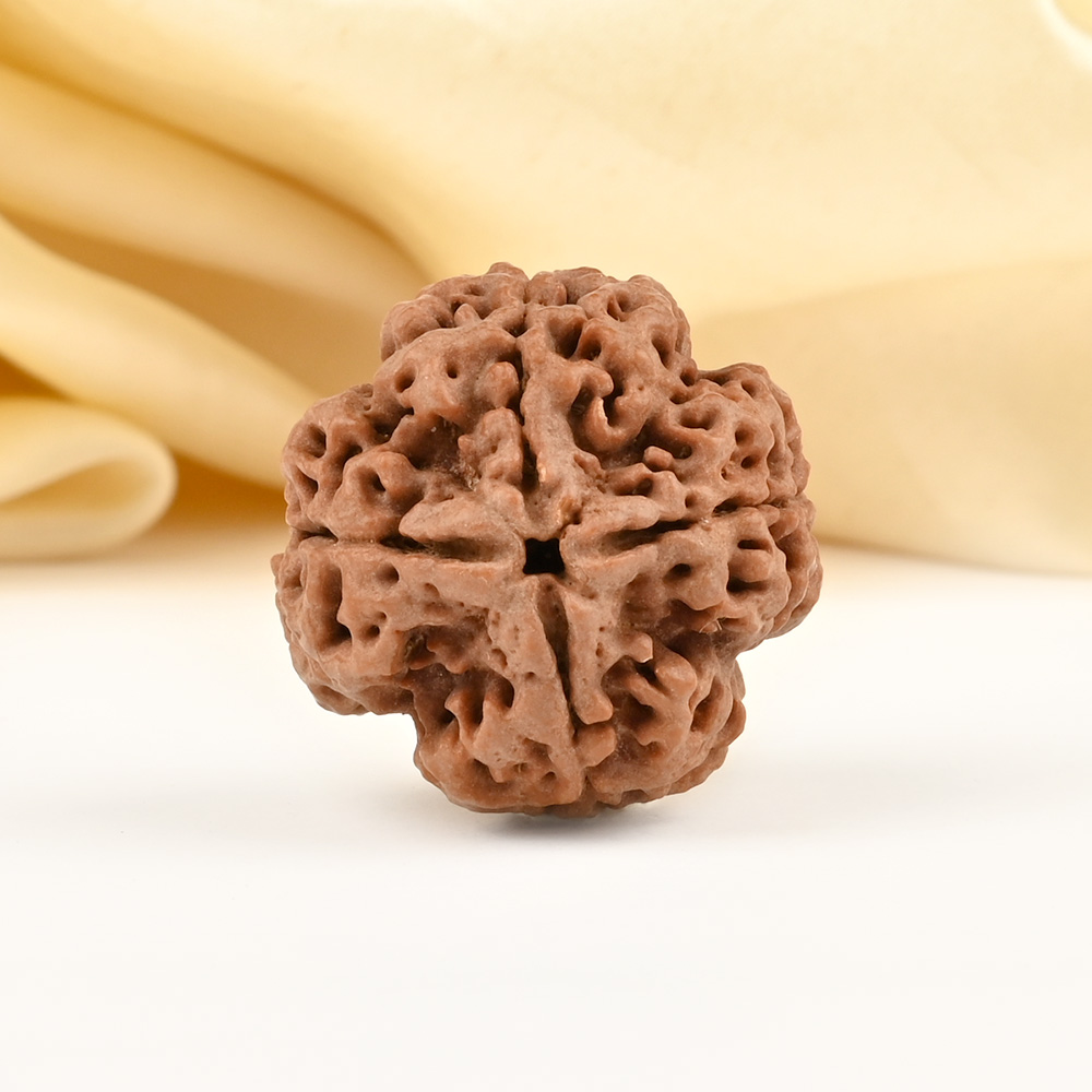 Super Collector 4 Mukhi from Nepal - CCXXXVII