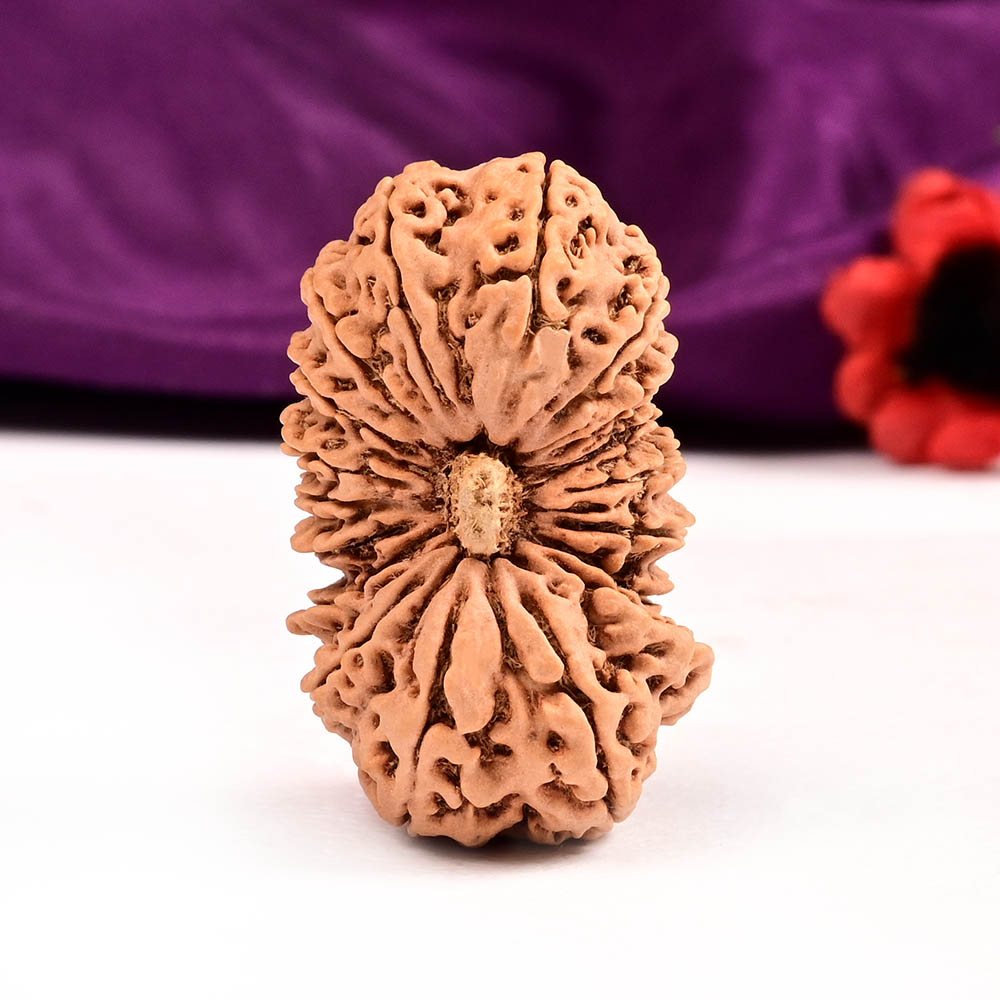 Super Collector Eighteen Mukhi Nepal - V