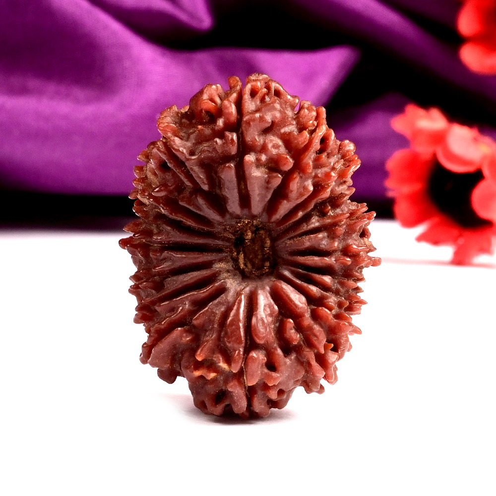 Super Collector Eighteen Mukhi Nepal - VII